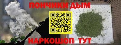 индика Ставрополь