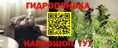 молекула духа Среднеуральск