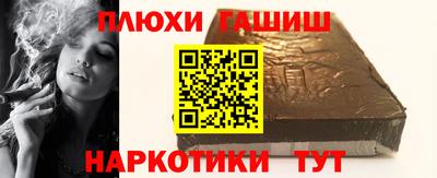 индика Ставрополь