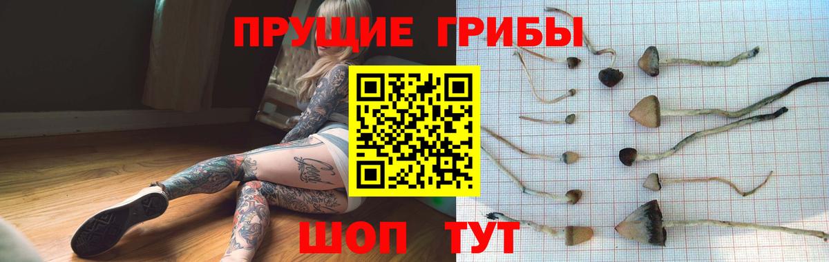 Псилоцибиновые грибы Psilocybine cubensis Орёл